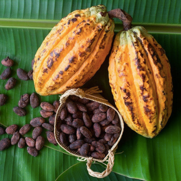 why to eat cacao
